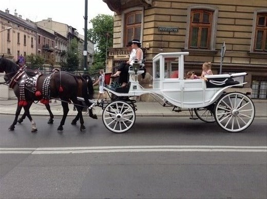 Horse Carriage