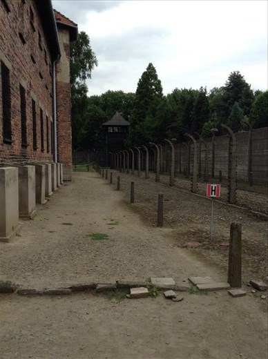 Auschwitz grounds 