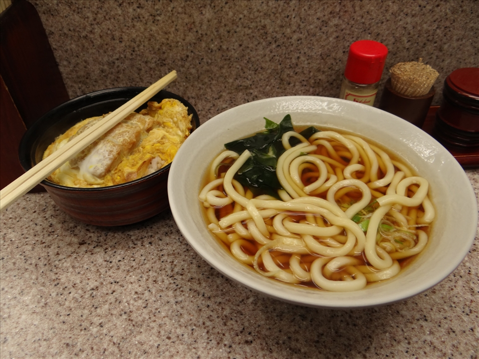 Katsudon and Udon Noodles