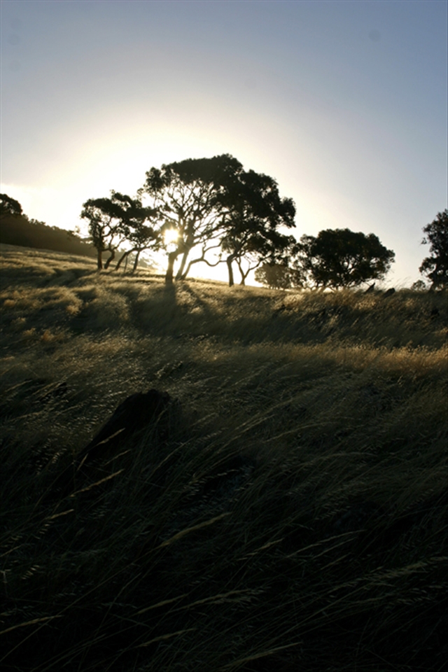 Somewhere in the australian countryside.
Sometimes it's hard and blurry, sometimes it's all so perfect and clear.
I was feeling so calm, in the right place.
That light passed through me.