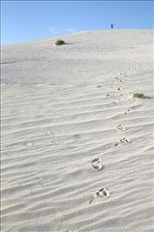 On the way to Perth, WA.
It was a hard journey but I did it!
I fought my fears and reached my goals.
It was a great lesson.: by paleworld, Views[431]