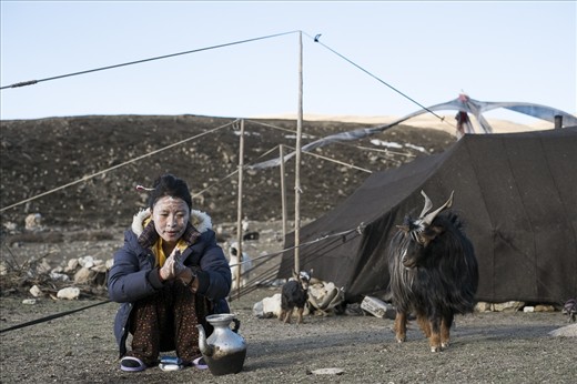 16 years old daughter of the yak shepherds Karma is enjoying her morning wash. It will be her first summer with the family after a few years of high school in busy and “civilized” Kathmandu. Life of a shepherd attracts her less and less. She has a Facebook account now too.