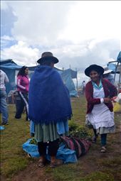 by palo-santo, Views[117]