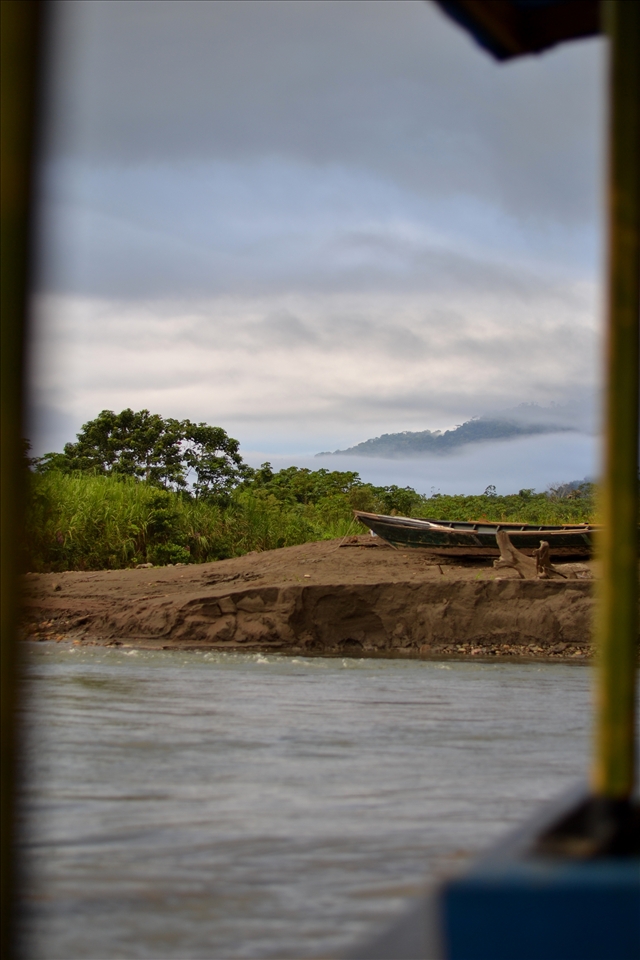 Riserva del Manu, Amazon