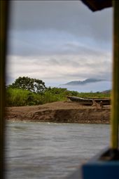 Riserva del Manu, Amazon: by palo-santo, Views[245]