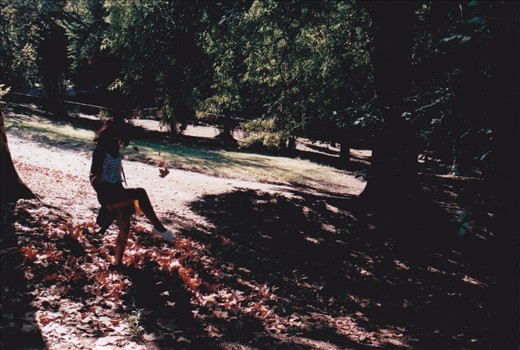 Autumn in Rome;

Pincio.