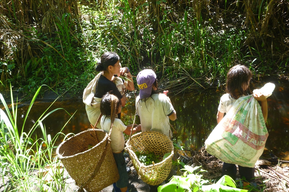 Elsa, mother of 10, takes three of her sons and her baby daughter (on her back), to fish in a little stream with mullein. Mullein is a powerful poison that comes from the roots of the mullein plant, and when hit by a stick they let out a white liquid (the poison) which paralyzes the fish for a while so they can catch them pretty easily.