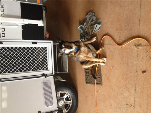 Molly cant quite work it pout!!