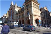 First Day we had to see the Great Central Market: by pamnormfelton, Views[258]