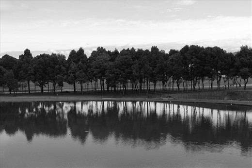 This photo was taken on Simon Bolivar Park, is a place full of fresh air, nature amid the noise pollution and cosmopolitan city to locate an quiet and relaxation without having to leave this