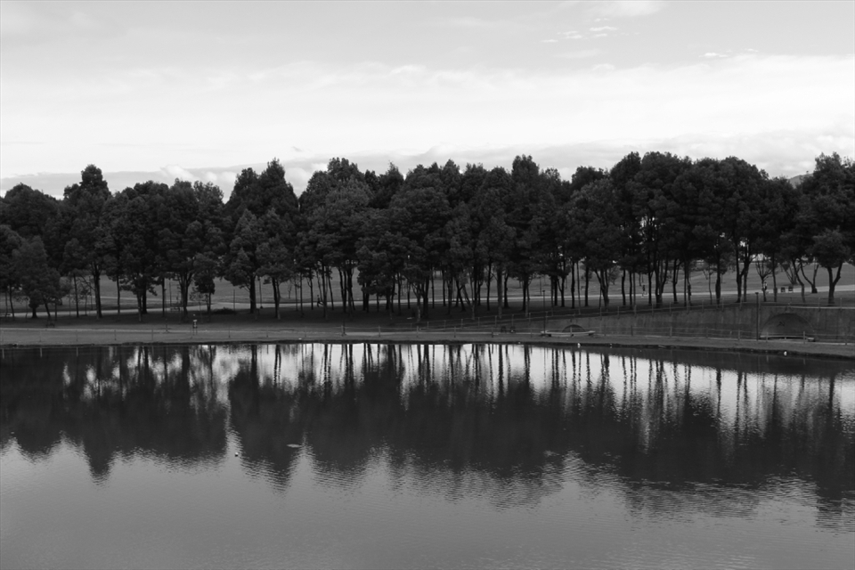 This photo was taken on Simon Bolivar Park, is a place full of fresh air, nature amid the noise pollution and cosmopolitan city to locate an quiet and relaxation without having to leave this