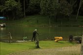 This photo was taken on Simon Bolivar Park, is a worker cleaning the lake after a heavy rain that caused the lake level rise and were detached from the bottom vegetation this work is done before the park opens at 5 am so that visitors can enjoy the beauty of nature: by paolarte, Views[371]