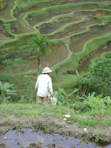 the dance is formed in the earth, it symbolizes the promise of bounty