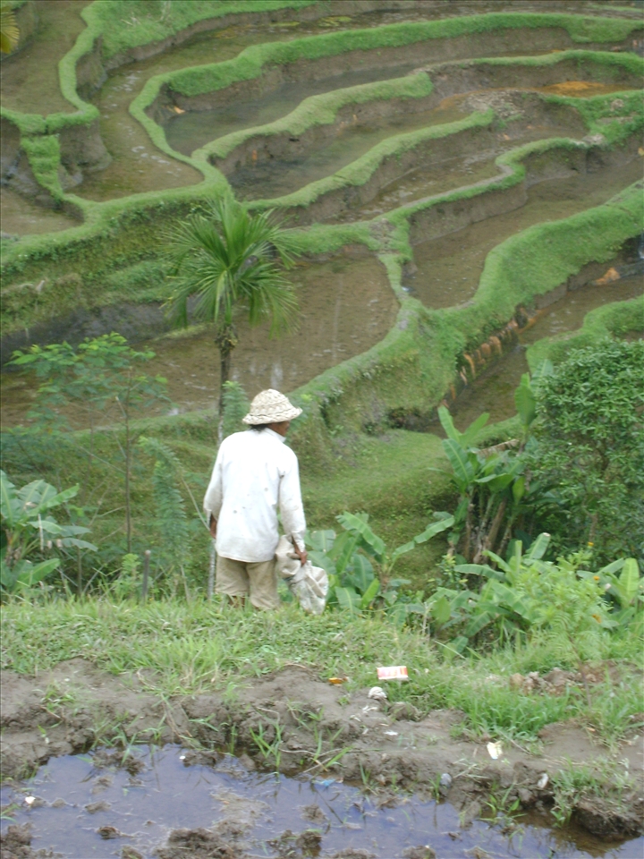 the dance is formed in the earth, it symbolizes the promise of bounty