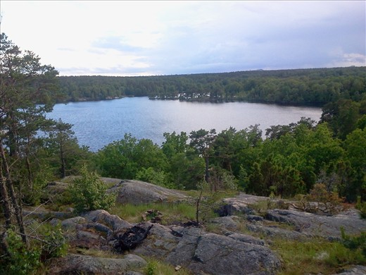 the world is already beautiful