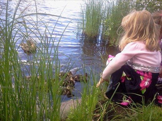 pretty hope to the future