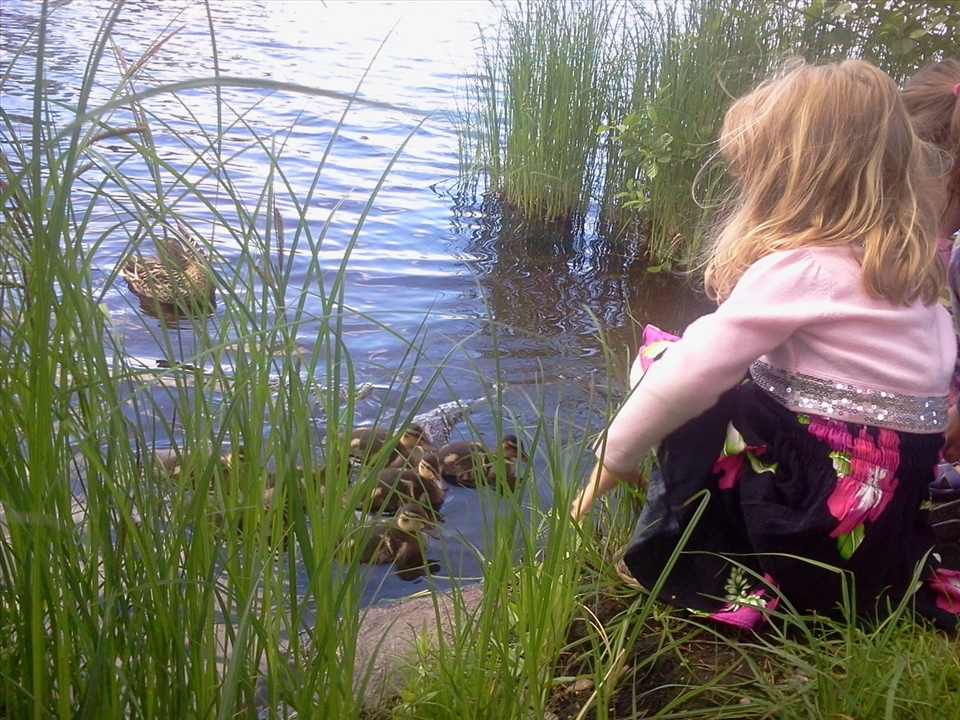 pretty hope to the future