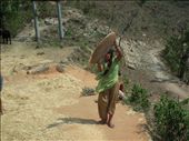 A woman work in Nepal for processing food.: by parbat, Views[349]