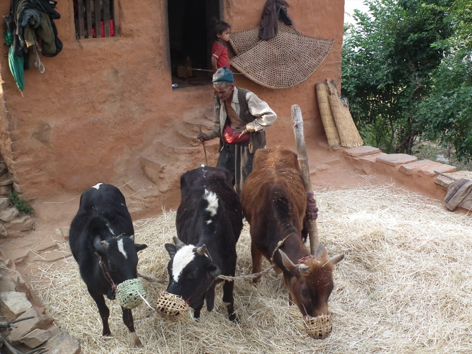 A poor old man. Who work hardly for food.