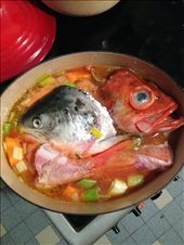 Fish heads getting cosy in my Le Creuset: by parispaysanne, Views[582]