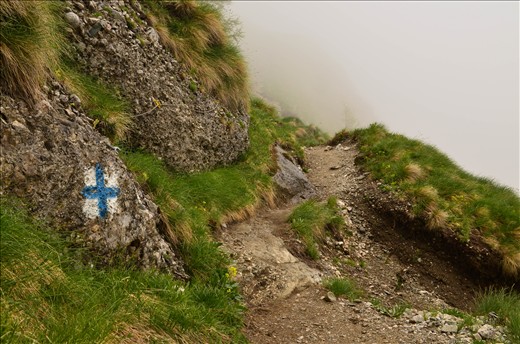 On the way up, the fog surrounded us