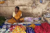 A woman sells garlands at  Kolkata's flower markets: by passionatenomad, Views[330]