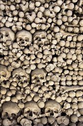 When a church was build in the center of the cemetery, they also built a room beneath the church purposed to keep the large amount of bones to be preserved. The number of skeletons in this cemetery was around 40.000 to 70.000 people. : by patrick, Views[308]