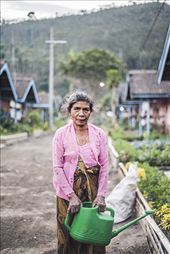 Old generation do her routine every day on sunset: by patrick, Views[249]