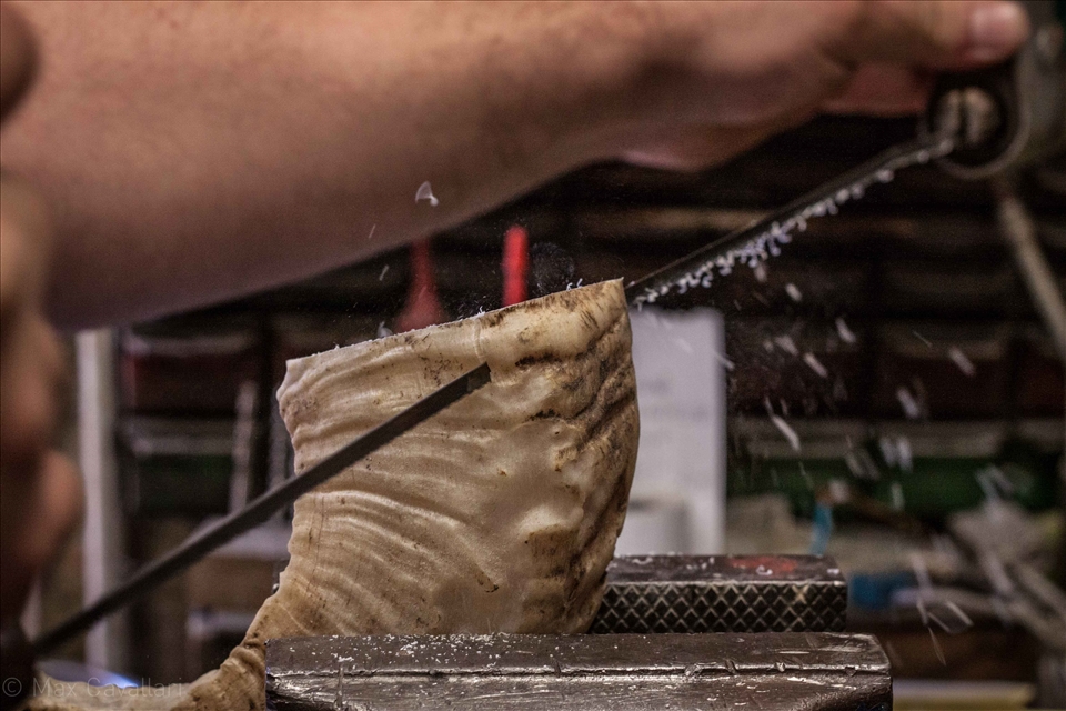 The handle is made by ram horn, the finess of making is amazing