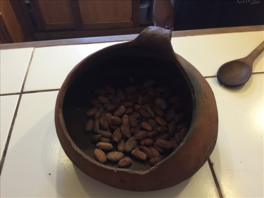 Roasted Cacao Beans!