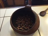 Roasted Cacao Beans!: by pattyrae, Views[206]