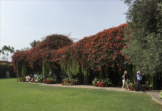 The grounds of the Museum