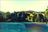 Stuck in Reefton: by paul_meet_world, Views[208]
