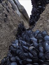 by paul_meet_world, Views[214]