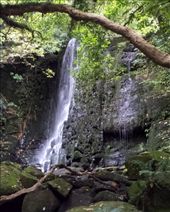 by paul_meet_world, Views[204]