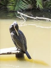 by paul_meet_world, Views[219]