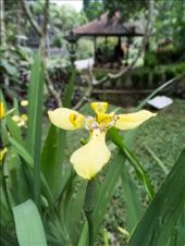 by paul_meet_world, Views[246]