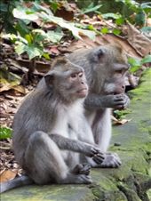 by paul_meet_world, Views[305]