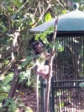 by paul_meet_world, Views[322]