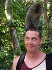 by paul_meet_world, Views[321]