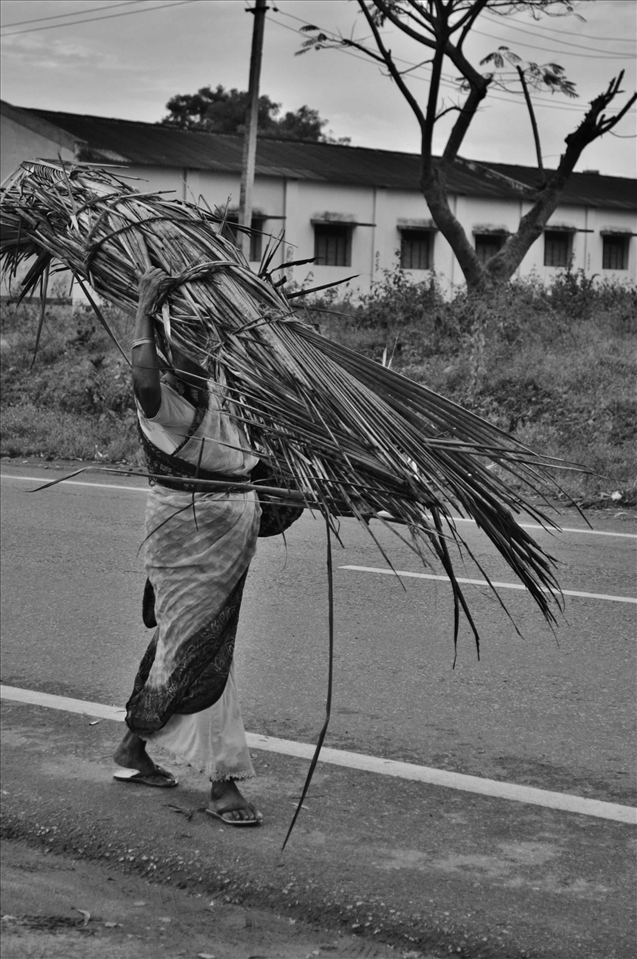 FRIENDS ON OUR JOURNEY