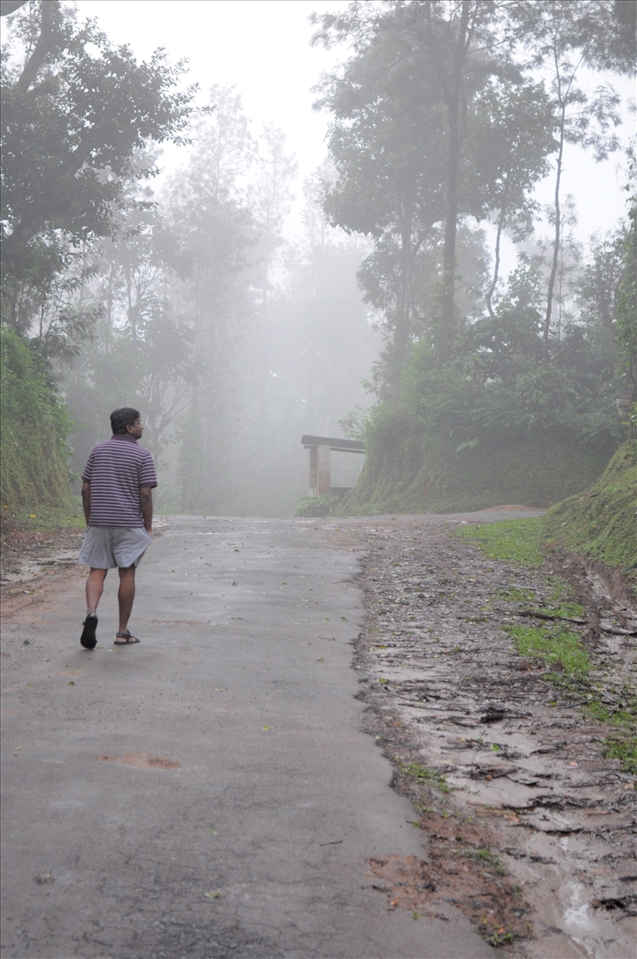 WANDERING IN THE WILD