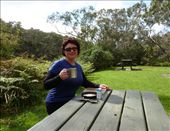 Battersbys Camp Lower Glenelg National Park: by pauline, Views[1881]