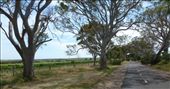 Coast to Vines Rail Trail: by pauline, Views[781]