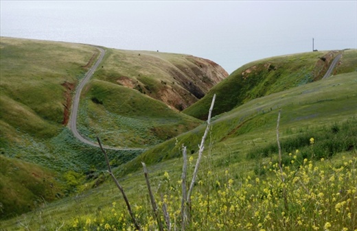 Coming into Aldinga Beach