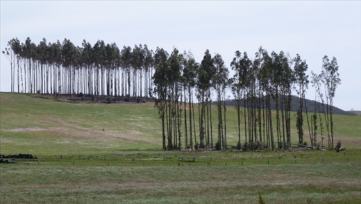 Hindmarsh Valley Road