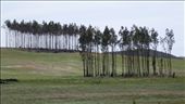 Hindmarsh Valley Road: by pauline, Views[299]