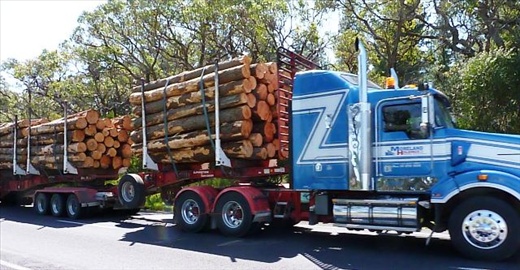 Logging Truck
