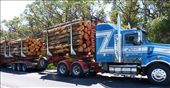 Logging Truck: by pauline, Views[1164]