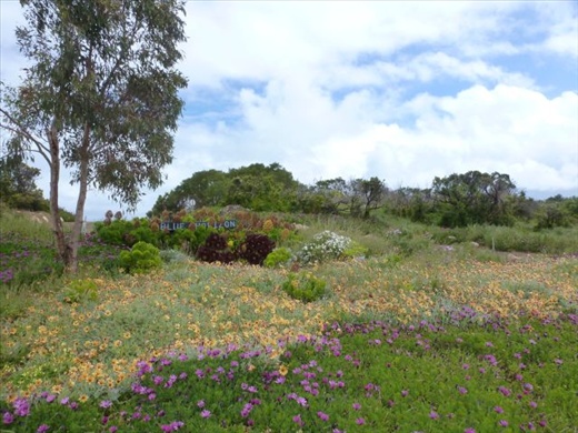 Pretty Coastal Garden
